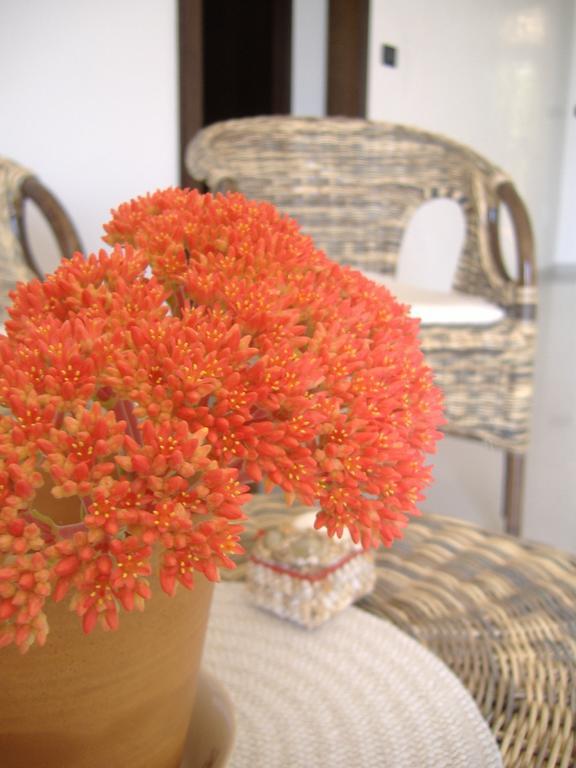 B&B Corallo Capilungo Extérieur photo